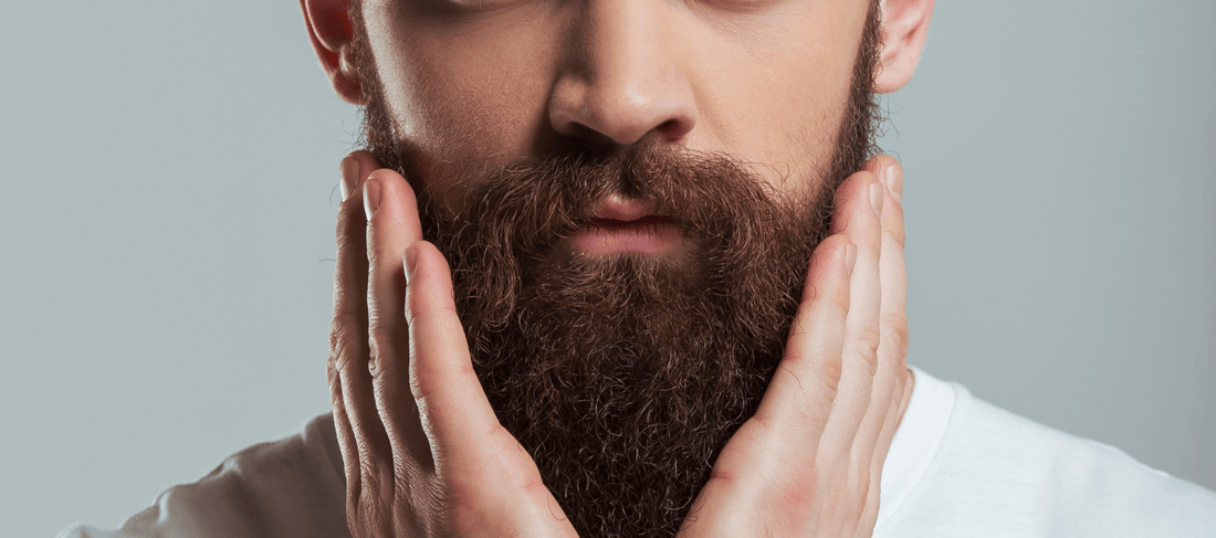 Guia Completo para Iniciantes no Cuidado com a Barba - Barba Robusta