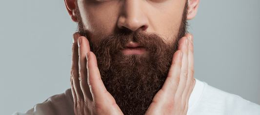 Guia Completo para Iniciantes no Cuidado com a Barba - Barba Robusta
