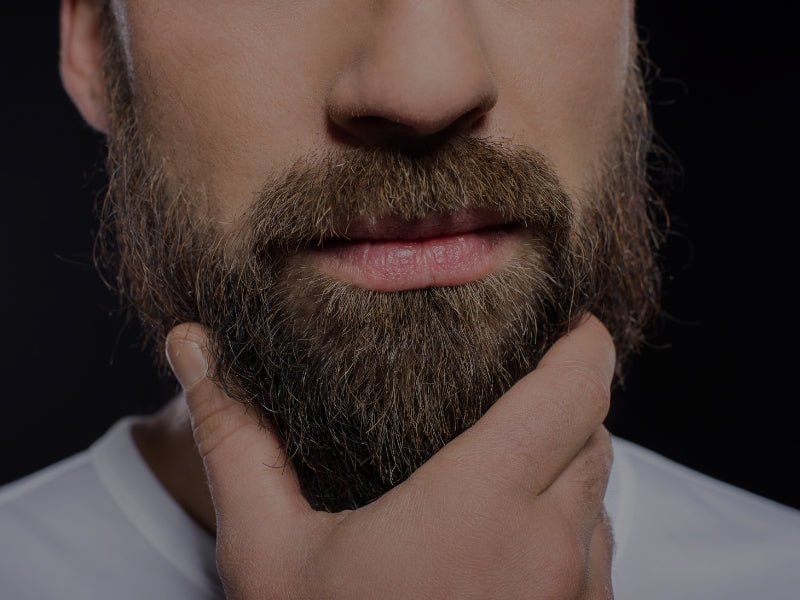 Cuidar Melhor da Barba - Barba Robusta