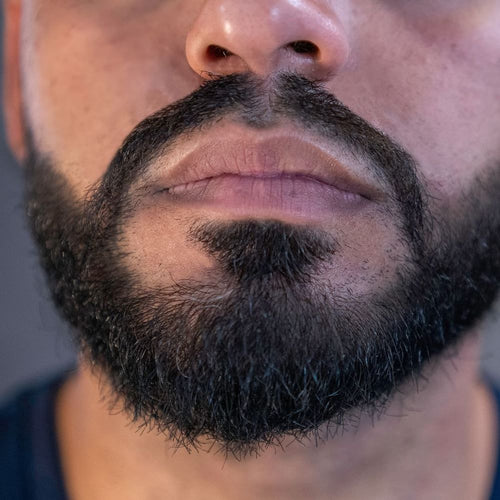 Close de barba cheia